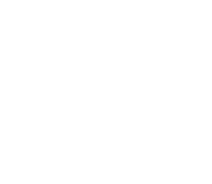 logo_white_transparent